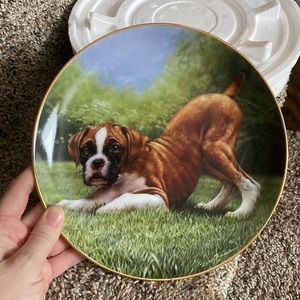 Danberry mint “bottoms up” boxer dog collectible plate